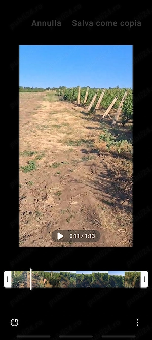 Teren extravilan  viță-de-vie - imagine 5