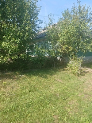 Casa batraneasca(50m )+anexe(2200m ) in sat Topile,Pascani - imagine 3