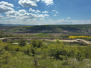Vând teren în Luna de jos 4,5 Hectare, cu C.F