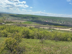 Vând teren în Luna de jos 4,5 Hectare, cu C.F - imagine 2