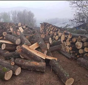 vand lemn de foc 400 lei m ster