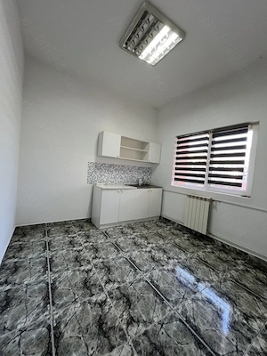 Vând casă individuală S+P+1E+POD   400 mp utili | Teren 377 MP | Zona parc MIHAI VITEAZUL - imagine 4