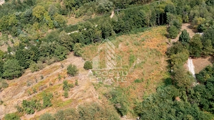 Teren de vanzare, 5000mp, cu iesire la rau, in Borlova, Muntele Mic - imagine 4