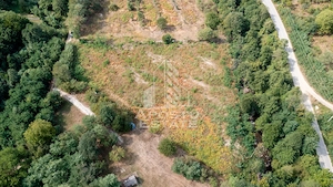 Teren de vanzare, 5000mp, cu iesire la rau, in Borlova, Muntele Mic - imagine 5