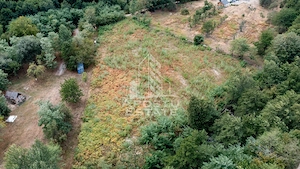Teren de vanzare, 5000mp, cu iesire la rau, in Borlova, Muntele Mic - imagine 2