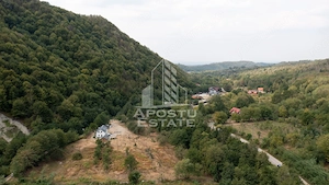 Teren de vanzare, 5000mp, cu iesire la rau, in Borlova, Muntele Mic - imagine 8