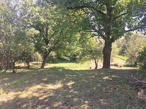 Teren intravilan de vânzare în Șaula (Nr. 88)   3.675 mp  - imagine 5
