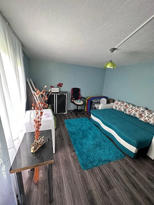 SCHIMB SAU VAND ,teren cu cabana - imagine 8