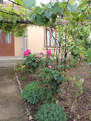 Casa bătrânească de vânzare la 10 km de Tecuci cu 450 m2 - imagine 3