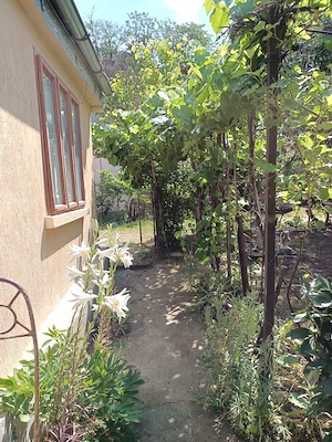 Casa bătrânească de vânzare la 10 km de Tecuci cu 450 m2 - imagine 5