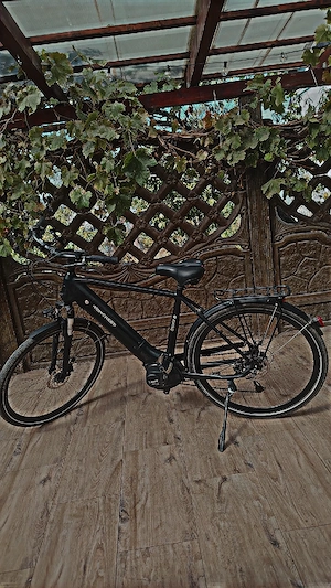 Bicicleta electrica 