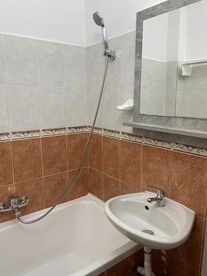 Proprietar, vanzare garsoniera 22mp zona Blascovici - imagine 4