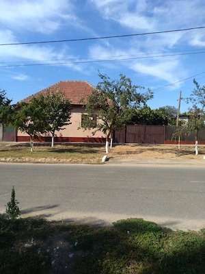Casa de vanzare Berecuța