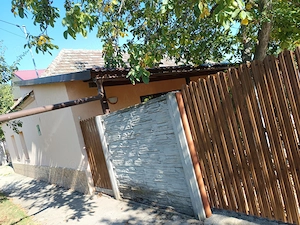 Vând casă în Ortisoara 