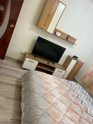 vand apartament 2 camere Bocsa Romana MFA - imagine 4