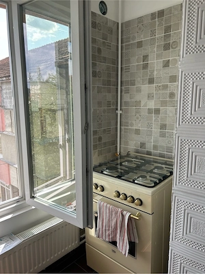 vand apartament 2 camere Bocsa Romana MFA - imagine 3
