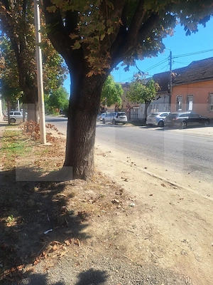 Casa de vanzare, 155 mp, zona Lugoj - str. Gheorghe Doja - imagine 6