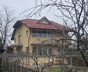 Vand casa la curte in Domnesti Ilfov 6 camere 3 bai crama 2 terase 260 m  locuibil 483 m  