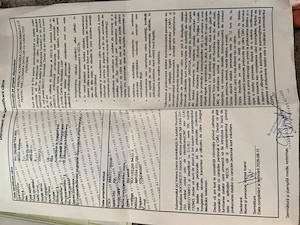 Pui Bichon maletese  alb, adorabil și jucăuș, carnet de sănătate 4 luni - imagine 4