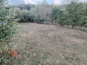 Teren intravilan de vanzare .
