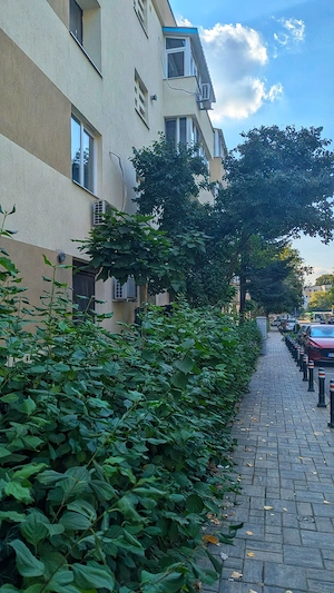 Floreasca, Metrou Stefan cel Mare, Garsoniera 30 mp, Renovat, AC - imagine 9