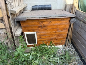cusca de caini izolata cu usa tripla