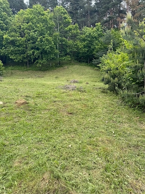 Vand 650 mp teren de casa in zona Vlaicu Voda - imagine 4