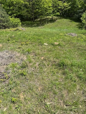 Vand 650 mp teren de casa in zona Vlaicu Voda - imagine 3