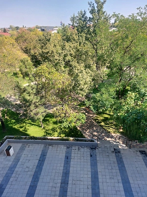 Apartament 3 camere Zona MB uri, lângă parc - imagine 6
