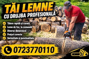 tai lemne cu drujba profesionala și tund iarba cu motocoasa