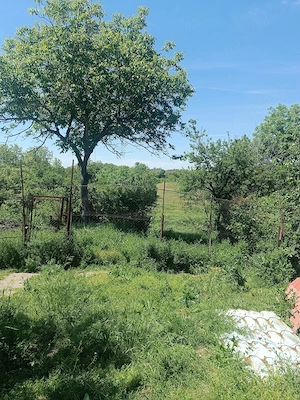 casă de vinzare  + teren 4601m2 - imagine 2
