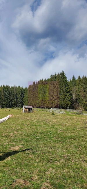 Teren intravilan 2500 mp in Valea Doftanei - imagine 2