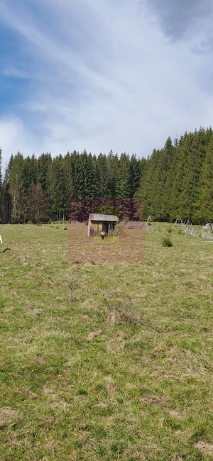 Teren intravilan 2500 mp in Valea Doftanei - imagine 3