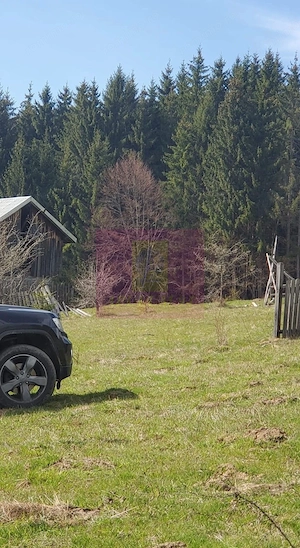 Teren intravilan 2500 mp in Valea Doftanei - imagine 6
