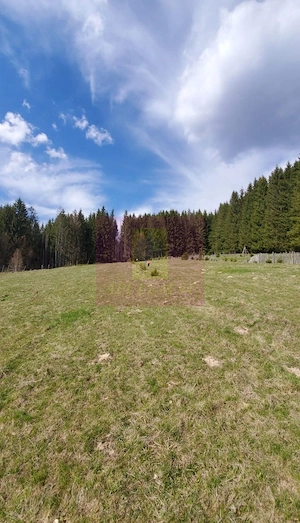 Teren intravilan 2500 mp in Valea Doftanei - imagine 5