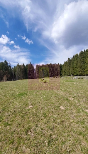 Teren intravilan 2500 mp in Valea Doftanei - imagine 4