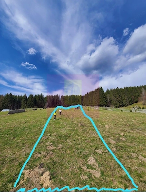 Teren intravilan 2500 mp in Valea Doftanei
