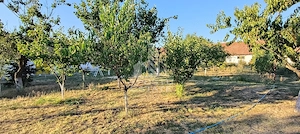 Casă individuală în Bucovăț cu 3250 mp - imagine 2