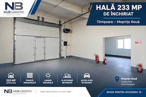 Hala 233 mp de inchiriat   Timisoara  Mosnita Noua - imagine 3