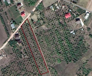 Teren intravilan 5.050 mp Tomesti Chicerea | P+2E | casa sau parcelare - imagine 5