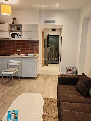 Garsonieră de închiriat Vitan Bârzești, Rin Grand Hotel, Proprietar - imagine 7