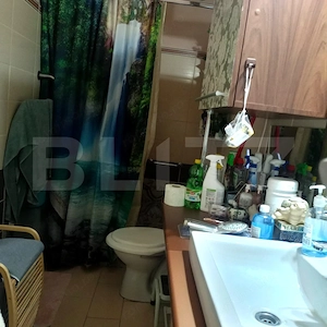 Casa de vanzare, 96 mp, teren 250 mp, str. Marasti - imagine 13