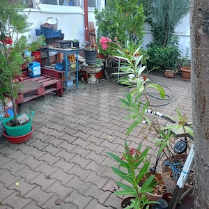 Casa de vanzare, 96 mp, teren 250 mp, str. Marasti - imagine 17