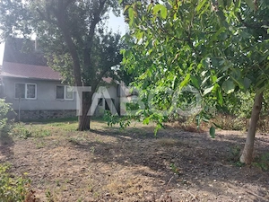 Casa si curte individuala 2 corpuri de casa separate 4 camere gradina  - imagine 3