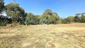 Casa si teren intravilan 1672 Mp la strada principala Pojogeni, Targu Carbunesti - imagine 9