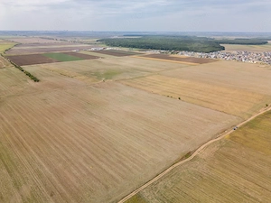 DASCALU - TEREN INTRAVILAN 7500 MP, INVESTITIE! - imagine 7