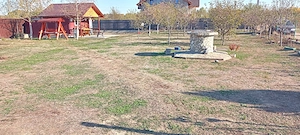 Teren de vânzare în Turcinești, 5 km de centrul municipiului Târgu Ji - imagine 2