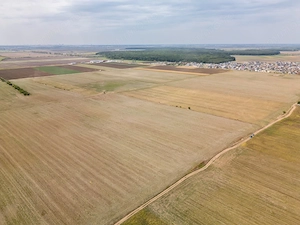DASCALU - TEREN INTRAVILAN 7500 MP, INVESTITIE! - imagine 6