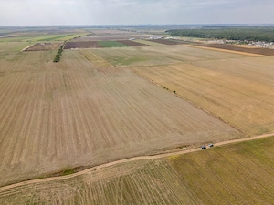 DASCALU - TEREN INTRAVILAN 7500 MP, INVESTITIE! - imagine 4