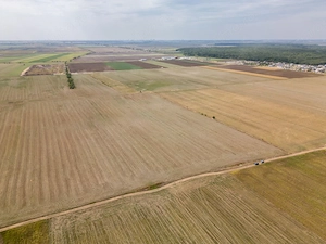 DASCALU - TEREN INTRAVILAN 7500 MP, INVESTITIE! - imagine 5